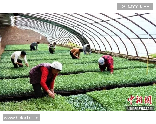 塔吉克国青队与中国国青队激战正酣期待精彩对决展现青春风采