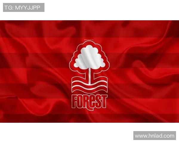 布里斯托与诺丁汉森林的精彩对决谁能在英Championship中笑到最后 布里斯托与诺丁汉森林的精彩对决谁能在英Championship中笑到最后